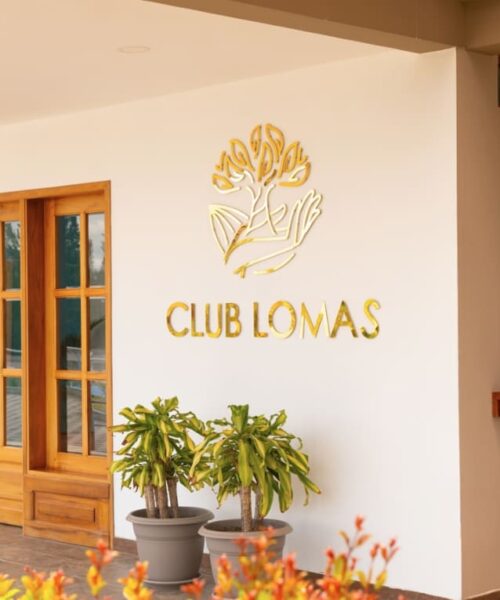 Razones para elegir una comunidad de adultos mayores si eres de  Tampa (Florida)