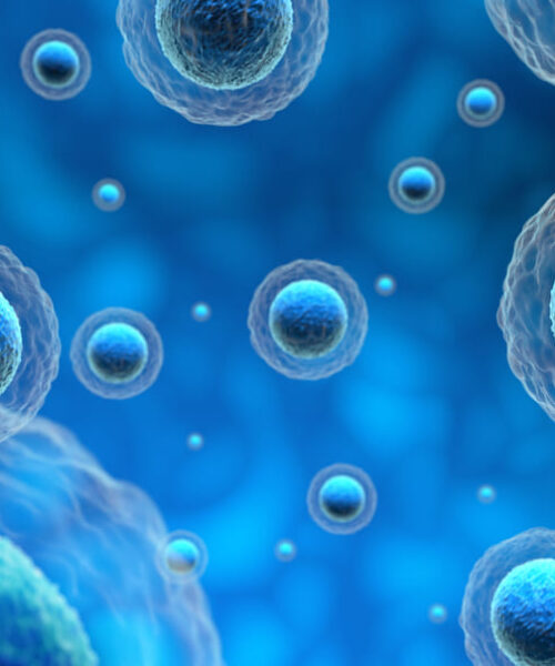 Fecundación y síntomas iniciales: consejos útiles para personas en  El Salvador